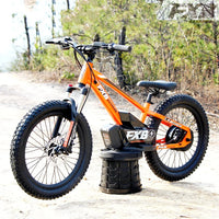 HKM-281619 36V 100Ah Electric City Bicycle with 800W Rear Hub Motor, Aluminum Alloy Frame, 3-Speed Gears, Hydraulic Disc Brake, Hidden Lithium Battery