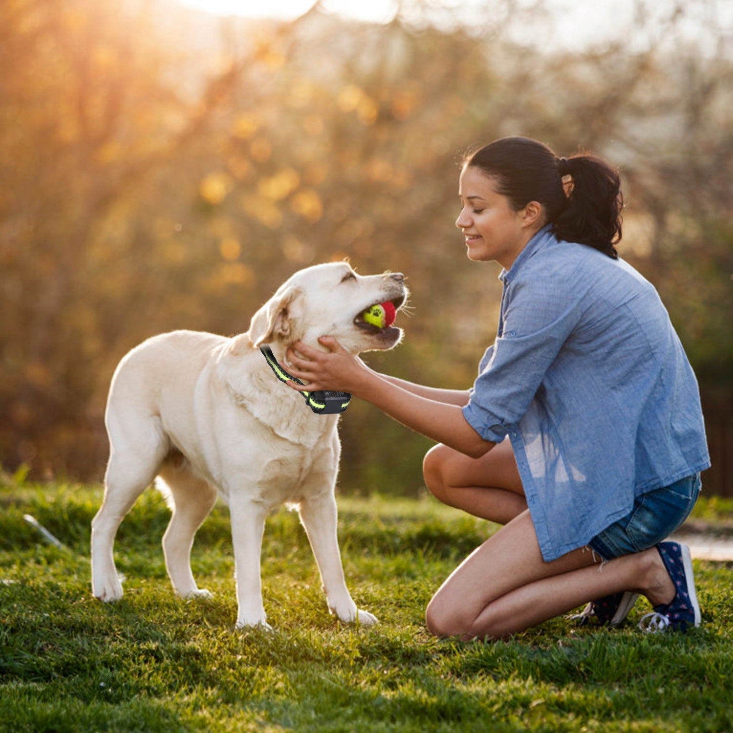 HKM-2818749 Rechargeable Waterproof Dog Bark Collar with Beep, Vibration, and Static Modes for Training