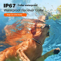 HKM-2821053 Waterproof Remote Control Bark Stopper for Dog Training with Electric Shock Function