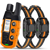 HKM-2821053 Waterproof Remote Control Bark Stopper for Dog Training with Electric Shock Function