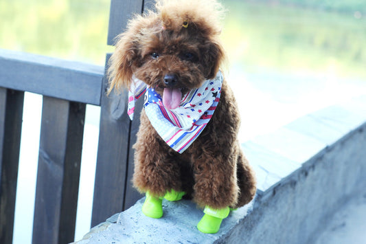 HKM-2825661 Soft Non-Slip Silicone Pet Rain Boots - Comfortable & Wear-Resistant, Available in Multiple Colors and Sizes