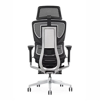 HKM-282643 Ergonomic Mesh Office Chair with Lift, Swivel, Footrest, and Adjustable Armrests
