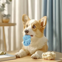 HKM-2827453 Durable Rubber Dog Chewing Slippers for Teeth Cleaning and Oral Health