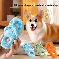 HKM-2827453 Durable Rubber Dog Chewing Slippers for Teeth Cleaning and Oral Health