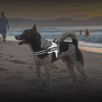 HKM-2828093 Durable Dog Traction Rope Vest for Medium and Large Dogs ¨C Adjustable Chest Strap in Various Colors
