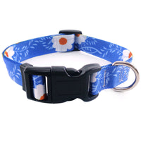 HKM-2828605 Bright and Colorful Multi-Color Dog Leash in Various Styles and Sizes