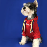 HKM-2829373 Pug Dirty Braids Velvet Pet Cotton Sweatshirt in Black and Red, Sizes S-XXL