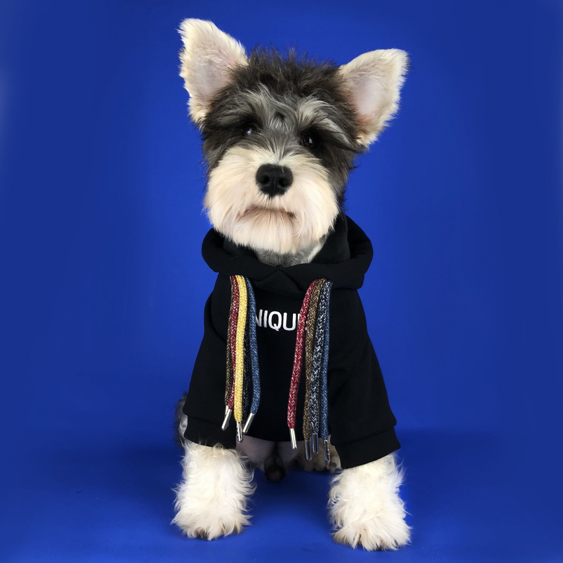 HKM-2829373 Pug Dirty Braids Velvet Pet Cotton Sweatshirt in Black and Red, Sizes S-XXL