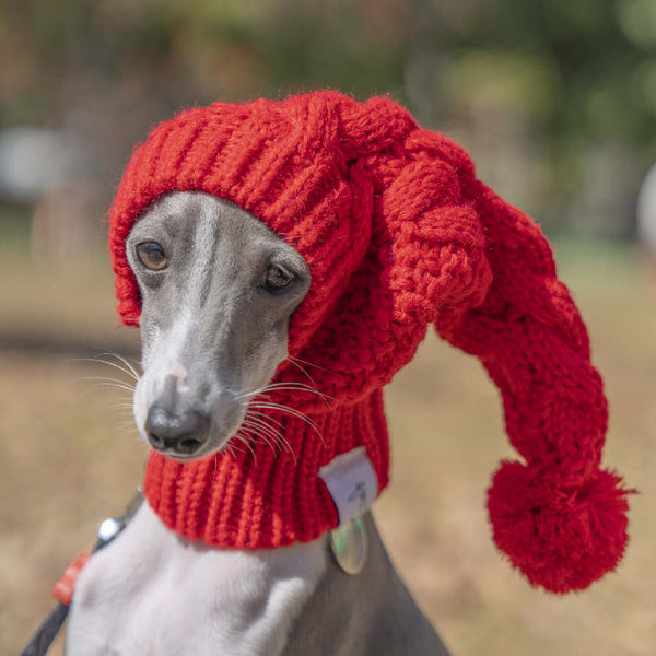 HKM-2832573 Cozy Pet Woolen Hat for Winter, Ideal for Photos and Gift Giving
