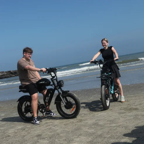 HKM-283283 2000W Dual Motor Electric Hybrid Fat Tire Bicycle with Long Range 100km and Dual Batteries