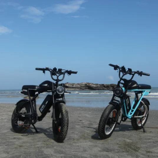 HKM-283283 2000W Dual Motor Electric Hybrid Fat Tire Bicycle with Long Range 100km and Dual Batteries