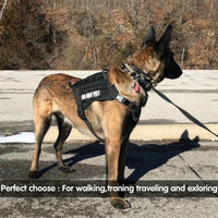 HKM-2834365 Tactical Elastic Dog Leash with Dual Control Handles for Training and Walking