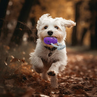 HKM-2837821 Bite-Resistant Teddy Toy with Dog Sound and Soft Fleece Lining for Pet Boredom Relief