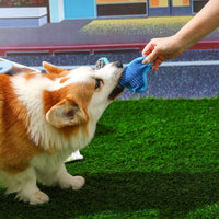 HKM-2837821 Bite-Resistant Teddy Toy with Dog Sound and Soft Fleece Lining for Pet Boredom Relief