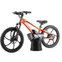 HKM-283923 Electric Balance Bike for Kids 20" with 36V Brushless Motor and Adjustable Seat