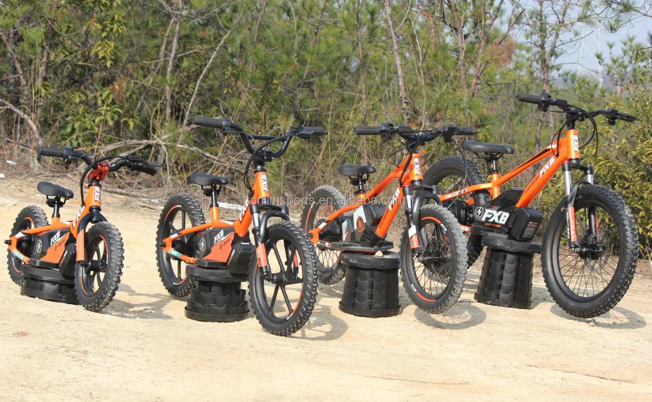 HKM-283923 Electric Balance Bike for Kids 20" with 36V Brushless Motor and Adjustable Seat