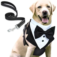 HKM-2840125 Pet Safety Chest Strap and Hand Holding Rope Set - Durable Polyester Material, Available in Sizes S, M, L, XL