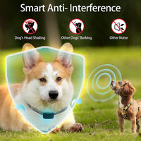 HKM-2842301 Fully Automatic Waterproof Anti-Bark Pet Collar with Electric Shock, Vibration, and Beep Functions