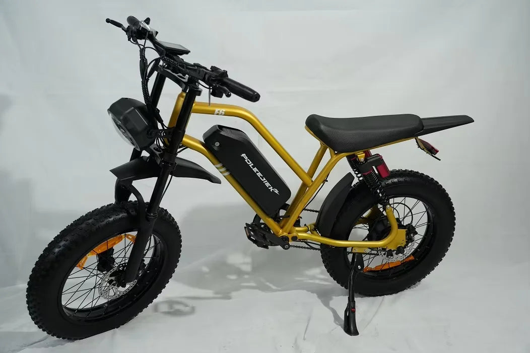 HKM-284435 Electric Fat Tire Mountain Bike with 1500W Motor and 20-Inch Wheels