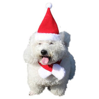 HKM-2845117 Christmas Reindeer Antlers Hairband for Pets - Adjustable Headwear for Dogs and Cats