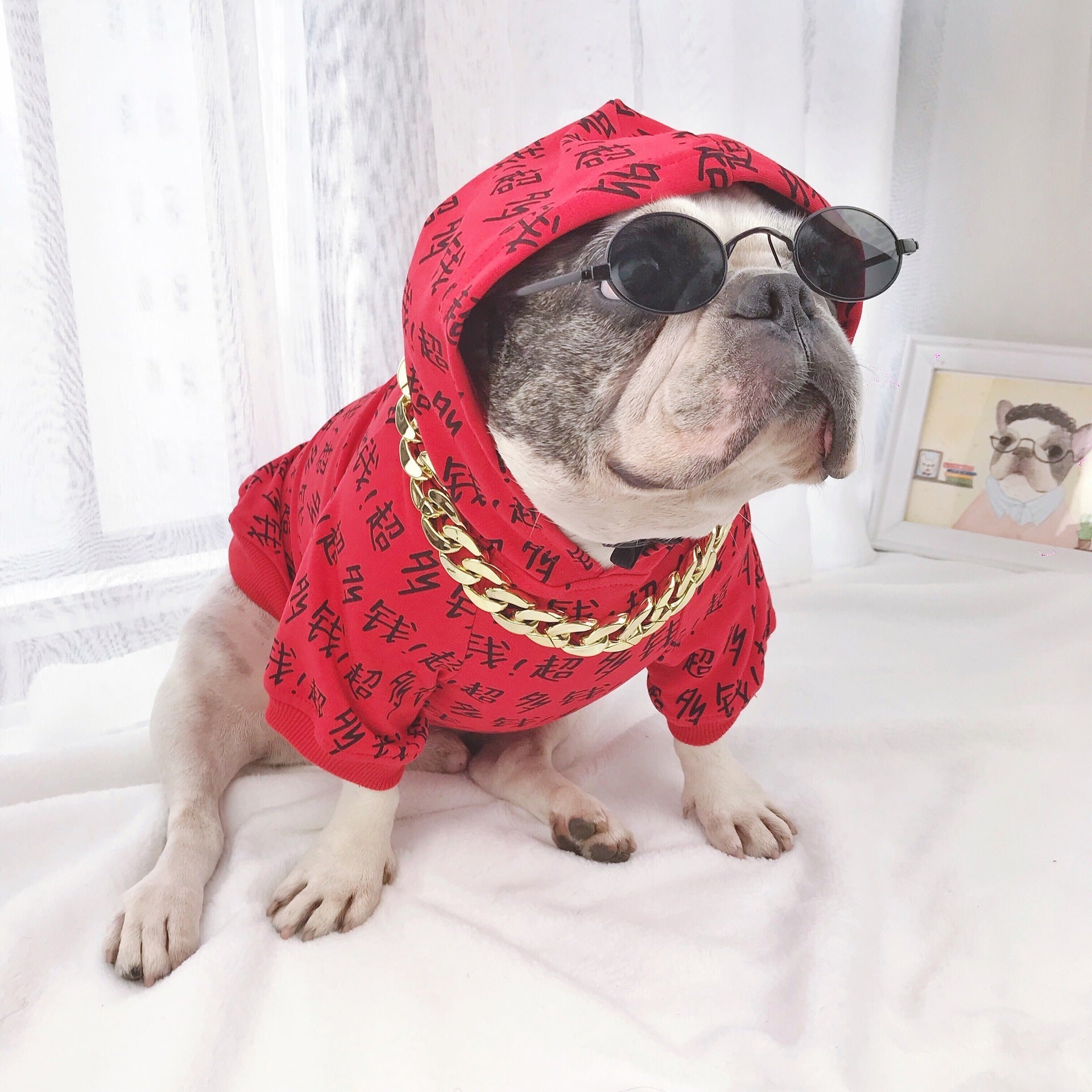 HKM-2847677 Casual Toy Glasses for Medium and Large Dogs - Various Colors Available
