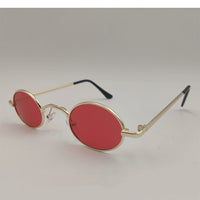 HKM-2847677 Casual Toy Glasses for Medium and Large Dogs - Various Colors Available