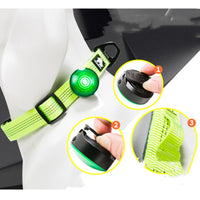 HKM-2848061 LED Safety Light for Dogs - Night Visibility in Red, White, Blue, and Green