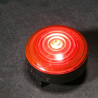HKM-2848061 LED Safety Light for Dogs - Night Visibility in Red, White, Blue, and Green