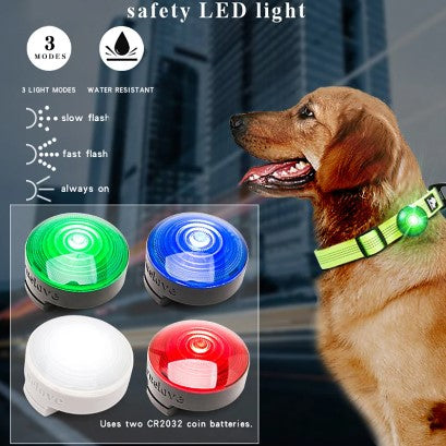 HKM-2848061 LED Safety Light for Dogs - Night Visibility in Red, White, Blue, and Green