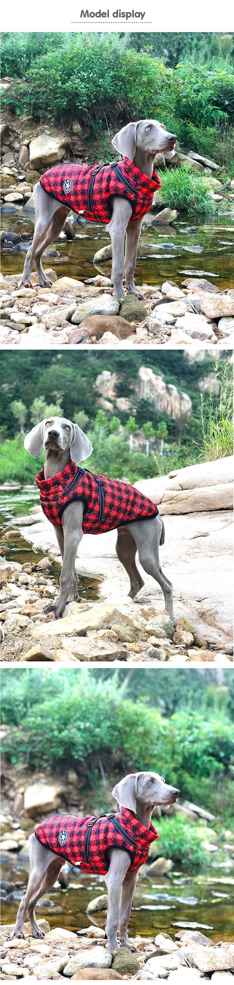 HKM-2850493 Reflective Cotton-Padded Pet Coat in Christmas Snowflake, Plaid, and Silver Gray - Sizes 3XL to 5XL