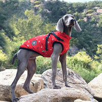 HKM-2850493 Reflective Cotton-Padded Pet Coat in Christmas Snowflake, Plaid, and Silver Gray - Sizes 3XL to 5XL