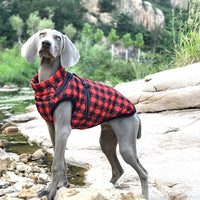 HKM-2850493 Reflective Cotton-Padded Pet Coat in Christmas Snowflake, Plaid, and Silver Gray - Sizes 3XL to 5XL