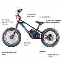 HKM-285075 16-Inch Electric Balance Bike with Lithium Battery and 350W Motor – 3-Speed, Disc Brake, Aluminum Frame