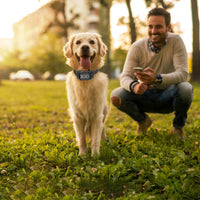 HKM-2851517 Electric Wireless Dog Fence System with GPS Location Monitor and Rechargeable Collar for Small to Large Dogs