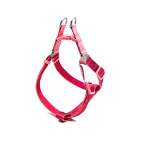 HKM-2855101 Contrast Color Hand Holding Rope Collar and Backband for Outdoor Activities