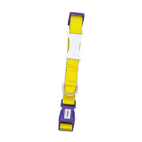 HKM-2855101 Contrast Color Hand Holding Rope Collar and Backband for Outdoor Activities