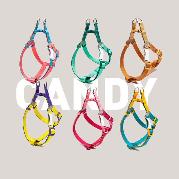 HKM-2855101 Contrast Color Hand Holding Rope Collar and Backband for Outdoor Activities