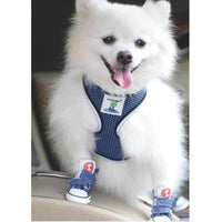 HKM-2858429 Small Dog Canvas Shoes – Anti-Slip, Warm & Wear-Resistant in Blue and Black, Available in Sizes 1-5