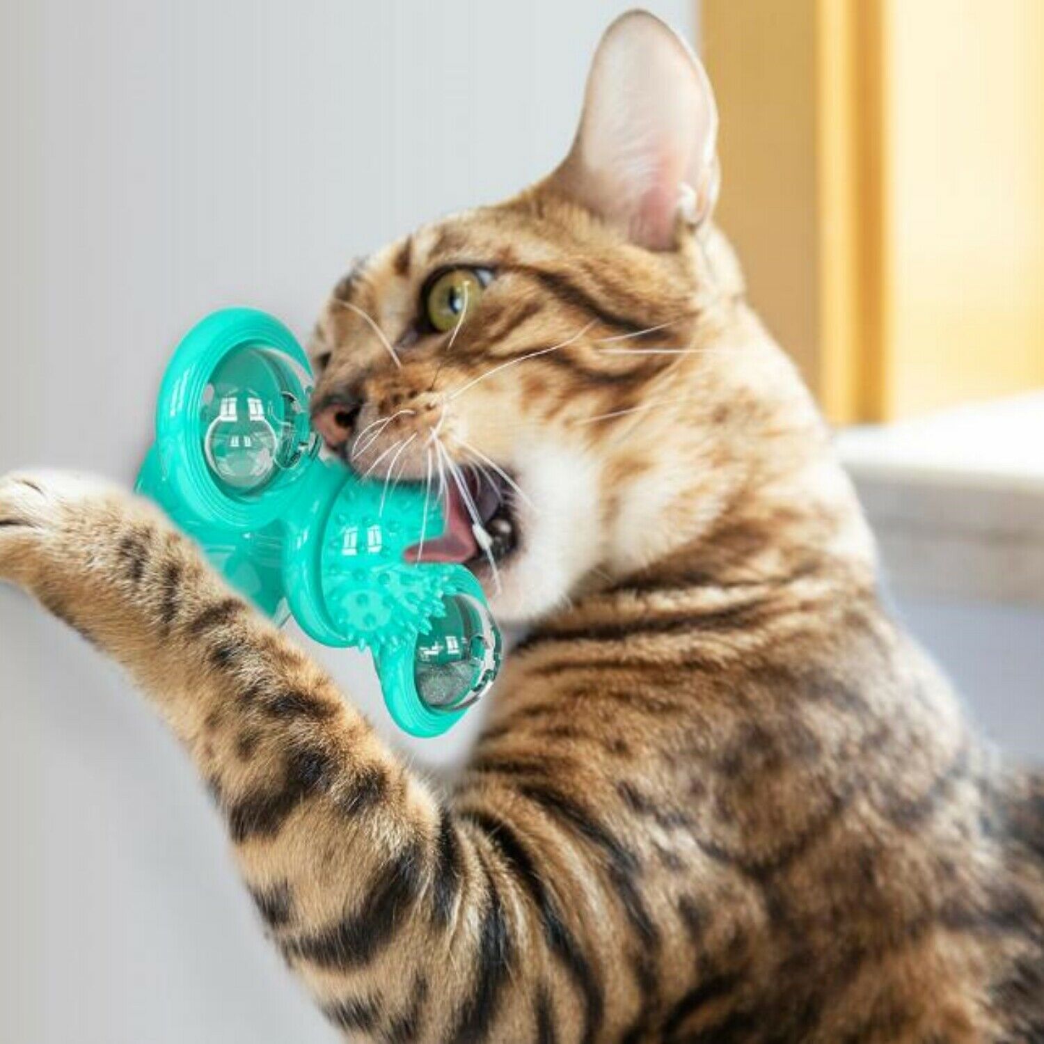 HKM-2859069 Interactive Windmill Cat Toy with Suction Cup, Catnip Ball, and Toothbrush Feature for Indoor Play