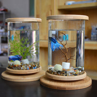 HKM-286483 Mini Glass Aquarium with Bamboo Base for Small Office Décor