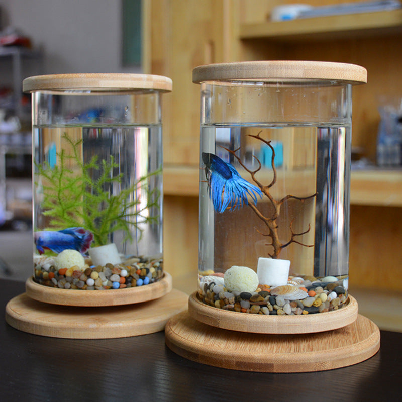 HKM-286483 Mini Glass Aquarium with Bamboo Base for Small Office Décor