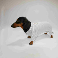 HKM-2871869 Thin Striped Pet Clothing for Dogs and Cats - Available in Multiple Sizes