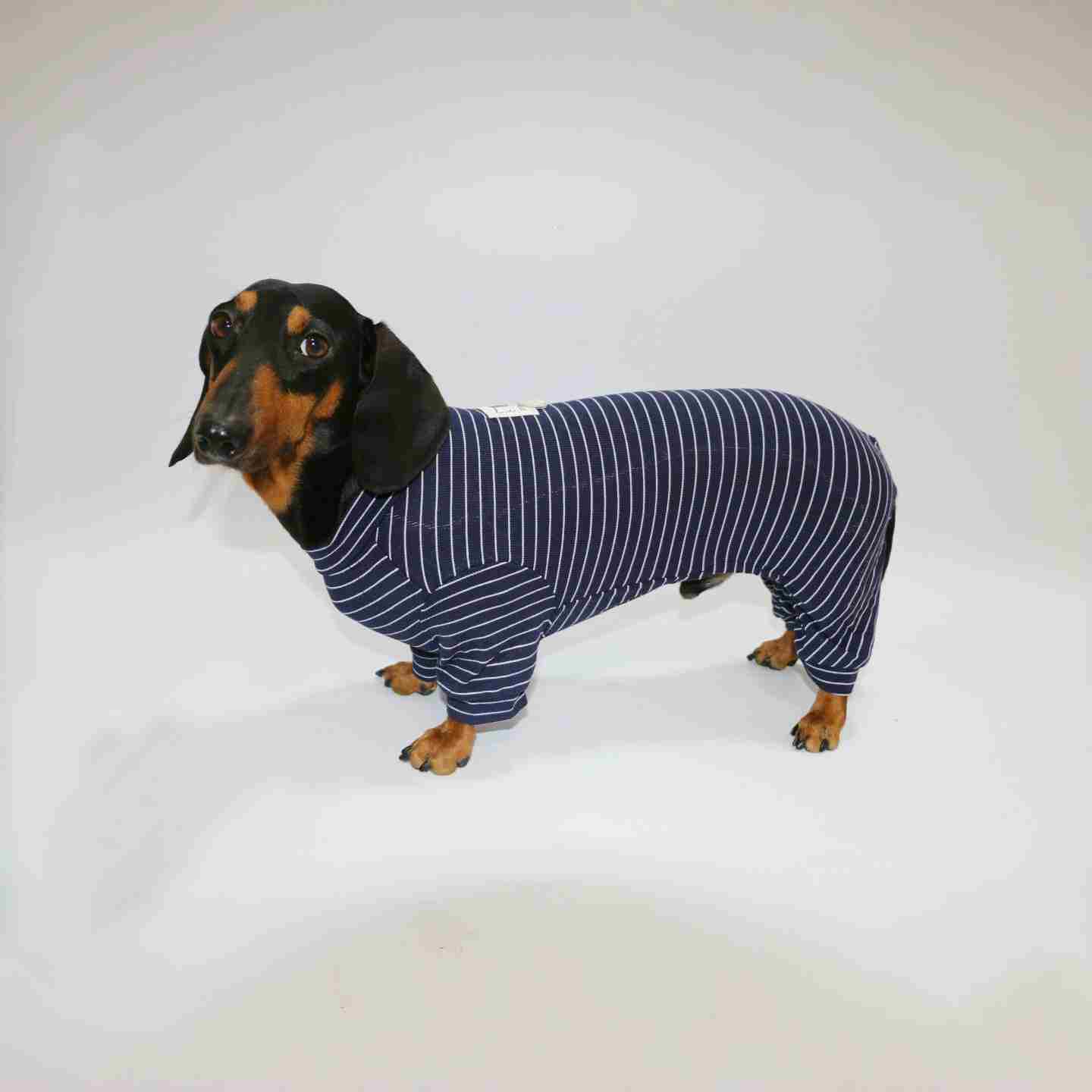HKM-2871869 Thin Striped Pet Clothing for Dogs and Cats - Available in Multiple Sizes