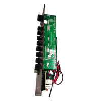 HKM-287955 USB TF Card Class D Active Amplifier Module for Speakers
