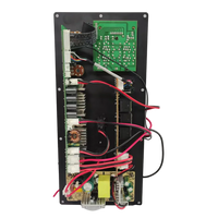 HKM-287955 USB TF Card Class D Active Amplifier Module for Speakers