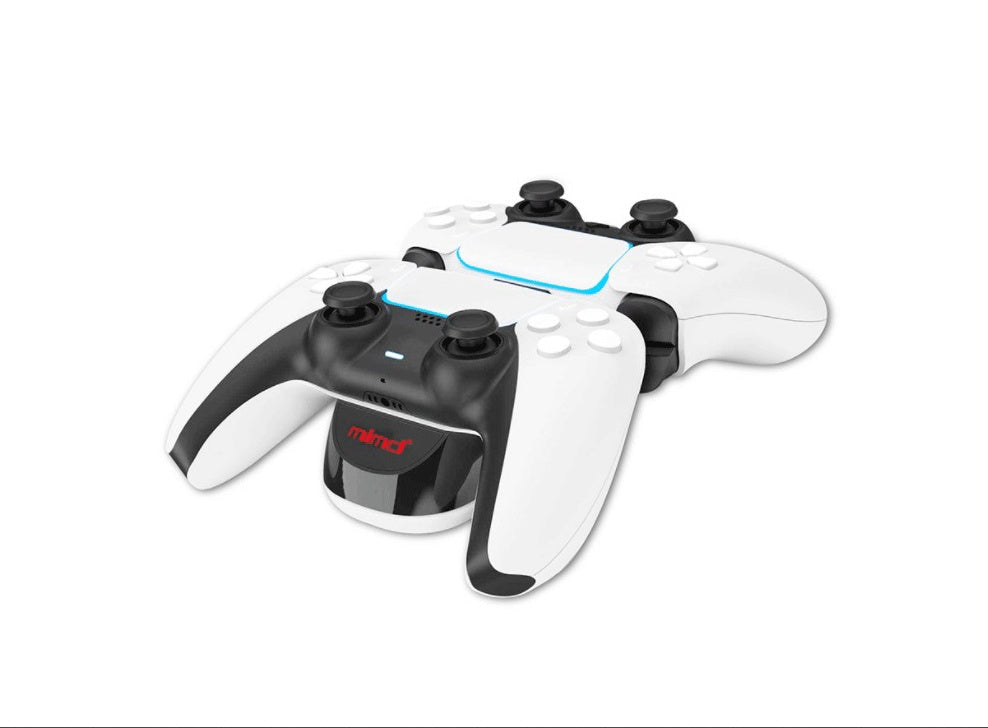 HKM-288019 LED Charging Station for PS5 Wireless Controllers - Dual Base Charger in White and Black