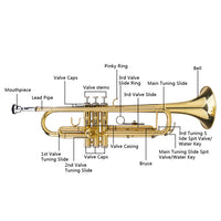 HKM-288211 Adjustable Golden Trumpet Gloves Set for Enhanced Performance