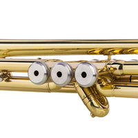 HKM-288211 Adjustable Golden Trumpet Gloves Set for Enhanced Performance