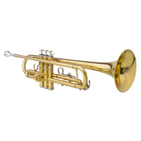 HKM-288211 Adjustable Golden Trumpet Gloves Set for Enhanced Performance