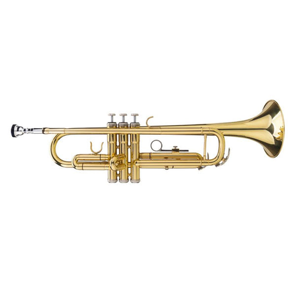 HKM-288211 Adjustable Golden Trumpet Gloves Set for Enhanced Performance